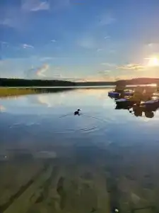 Авиаретро - 24