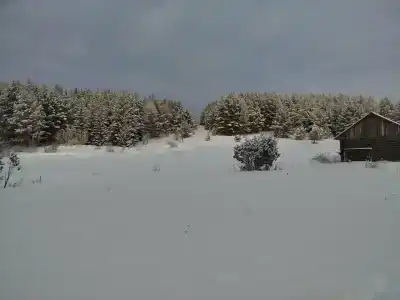 Метальниково Горка - 31