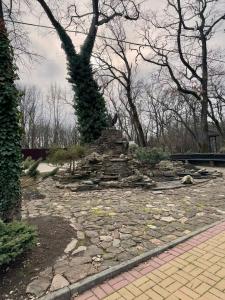 Метелица - 38