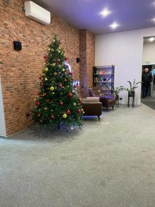 Декабрист на Лазебного - 13