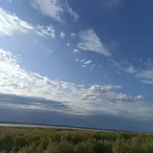 Прасковья - 29