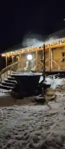 Львиное сердце - 5