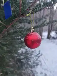 Простоквашино - 7