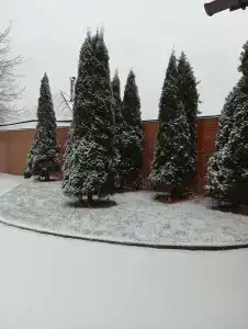 Серебряный Век - 14