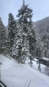 Альпенхауз - 10