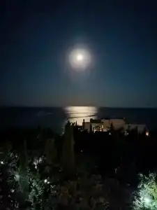 Отрадное - 20