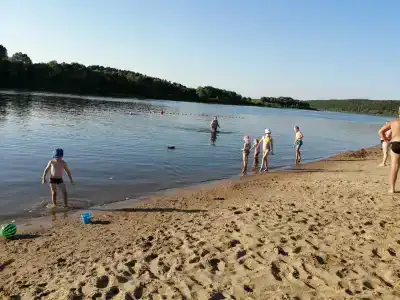 Подберёзовик - 42