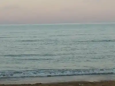 Золотые Пески - 72