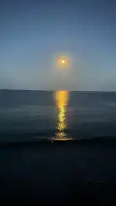 Замок Алустон - 34