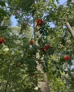 Озерная 38 - 30