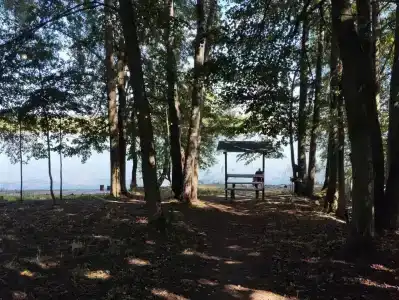 Соколино - 49