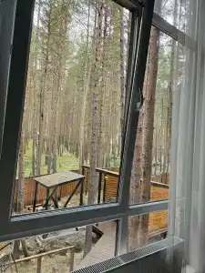 М5 Рент Хаус - 97