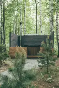 Forest story - 14