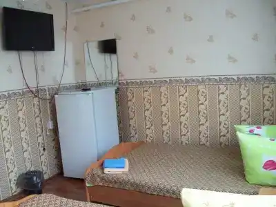 Забиров - 23