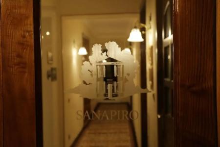 Sanapiro - 14