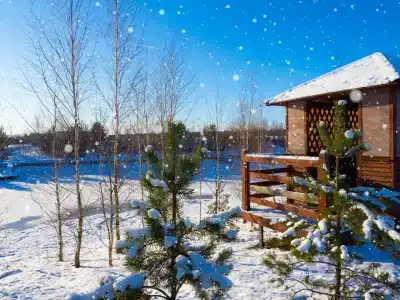 Лукоморье - 83