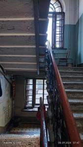 Корюшка Пошла - 42