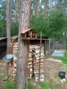 Серебряное копытце - 4