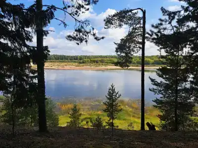 Серёгово - 49
