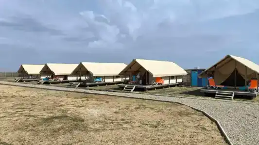 Оранжевая Кефаль - 33