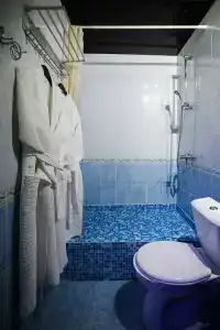 Госпожа - 10