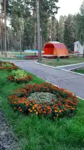 Селычка - 44