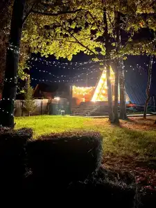 Ильинка лес - 15