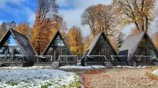 Favourite Village - 0