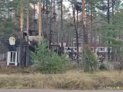 Белая чайка - 22