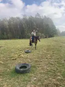 Бородино - 73