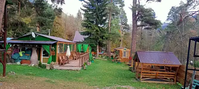 Тайга House - 0