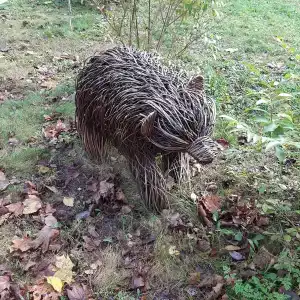 Красный Бор - 67