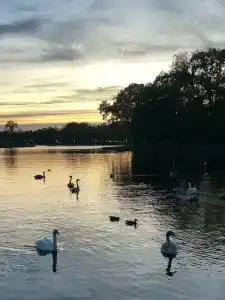 Вилла Татьяна Верхнеозерная - 83