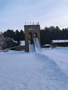 Сосновый - 40