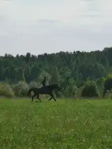 Лаунж-Хаус - 25