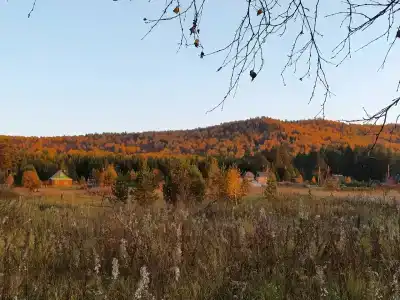 Ясная поляна - 12