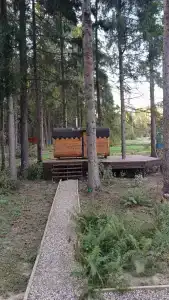 Хвойный Лес - 84