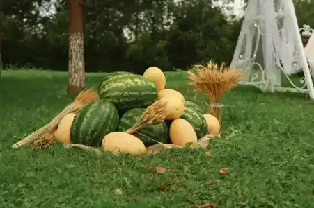 Елизарово - 86