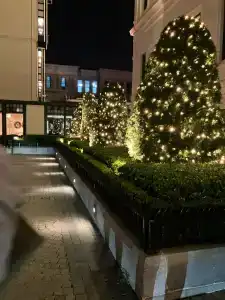 Four Seasons Istanbul at Sultanahmet - 39