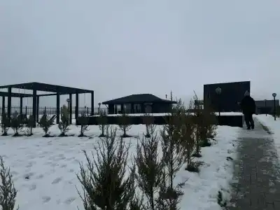 Зеленый - 43