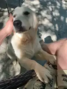 Парк Север - 66