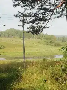 Санаторий Магистраль - 70