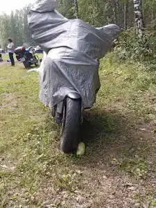 Берёзка - 18