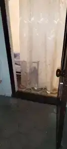 Колосок - 22