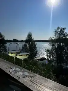 Лунный свет - 84