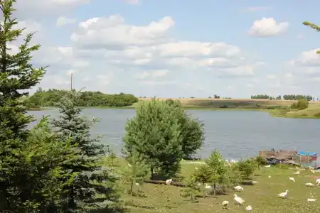 Лукоморье - 89