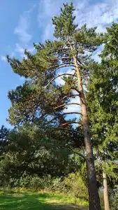 Озерява Апарт - 10