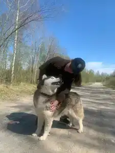 Северная надежда - 69