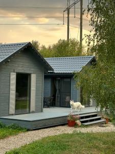 Изначальное - 72