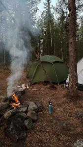 Куэльпорр - 22